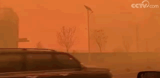 642.gif 642.gif